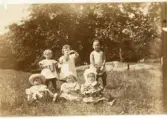 Foto av Torborg bland lekkamrater som sitter i gröngräset (enligt text skriven i albumet).