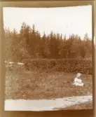 Foto av lillan Inga sittande i gräset (enligt text skriven i albumet).