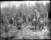 Planteringslag i Ledsgårdens skog