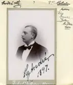 Hjalmar André (1873-1909)