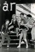 Föreställning av Mölndalsrevyn på Möllan i Mölndal i januari 1989.