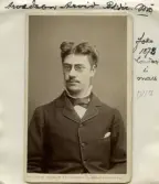 Arvid Arvedson (1853-1921)