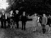 Från vänster: Johan Nilsson med med barnen Karl Nilsson, Valfrid Nilsson, Karin Nilsson och John Nilsson på Stommens gård i Gällared. De står utomhus med två hästar.
