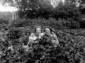 Två unga kvinnor hukar och håller varann om axlarna i frodig växtlighet med blommor i förgrunden. Till vänster sitter Karin Erlandsson i Mölnhult i Gunnarp och till höger Rut Svensson i Vismered, Gällared.