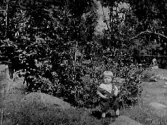 Litet barn i en trädgård. Bilden troligen tagen i Gällared eller Okome.