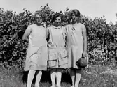 Tre unga kvinnor i sommarklänningar vid syrenhäcken i Vismared. Från vänster: Märta g. Bellmyr, Ragnhild Johansson, Svalåsen Alfshög, Lilly g. Johansson.