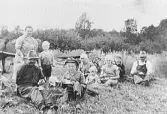 Kila, Gällared. Kafferast vid skördearbete. Havren tas av med slåttermaskin. Grannarna hjälper till. Ägaren Sven Larsson som sitter till vänster förlorade sin arm genom blodförgiftning. (Se även bild H809_4)