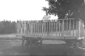 Tornared gård. En pojke står i en stor skrinda på vagn, troligen en höskrinda. Foto från omkring 1925-1926.