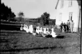 En gåsflock framför ett par kvinnor och barn vid en husgavel. Foto från omkring 1926-1928. Tornared gård.