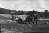 Skördearbete med hästar, som drar någon form av bindare. Boa, Krogsered socken. Foto från omkring 1926-1928. Fotografens morbror August (f. 1868-10-06 i Gällared) flyttade till Boa 1906. (Se även bildnr F4076, F4078_1-2)