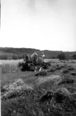 Skördearbete med hästar. Till höger i bild ligger den slagna säden i nekar. Boa, Krogsered socken. Foto från omkring 1926-1928. Fotografens morbror August (f. 1868-10-06 i Gällared) flyttade till Boa 1906. (Se även bildnr F4076, F4077)