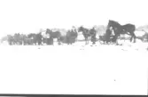 Tornared, Gällared socken omkring 1920 - 1925. En lång rad med hästekipage. Hästar som drar slädar i snön.