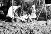Hönsskötsel. Fotografens fru Elsa Johansson (andra giftet 1945) och dottern Kerstin Johansson (f. 1948-04-15, Kärstin?) i hönsgården i Barnabro, Lindberg. Omkring 1955. John flyttade med sin första fru till Barnabro 1938.