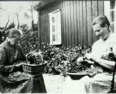 Björs gård, Klastorp. Farmor Sofia Bengtsson och faster Olivia Börjesson rensar bär. Sofia har bären i en korg, medan Olivia har en skål och en katt i knät medan hon rensar. Längs husfasaden frodas vad som ser ut att vara dahlior. Fotografen flyttade 1935 som nygift till Klastorp 15 och de flyttade sedan vidare till Barnabro i Lindberg 1938.