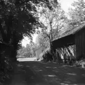 Lindgrens speceri- och diversehandel med tillhörande bodar i Tenhult. Det revs år 1947 i samband med att vägen breddades, permanentades och fick namnet Centrumvägen.