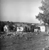 Första bebyggelsen utefter Norrängsvägen i Tenhult. Från höger Mjälaryd Norrgård 3:30, 3:29 och 3:28 eller Norrängsvägen nr 4, nr 6 och nr 8. Profilerna är utsatta till Mjälaryd 3:52 eller Norrängsvägen nr 3. I bakgrunden syns Skogmans Träindustri AB.