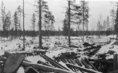 Svenska Frivilligkåren i Finland.  Fältpostkontor i Tornio,
1940.  Rysställningar?

Tornio, Finland