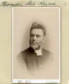 Albin Boman (1844-1914)