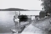Fem barn på brygga och i eka, sommaren 1908.