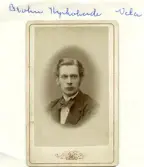 August Wilhelm Brolin (1850-1931)