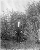 Dals Rostock. Porträtt