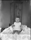 Dals Rostock. Erik Fält