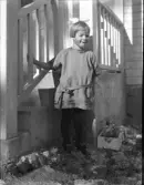 Dals Rostock. Brunnsvägen 59