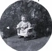 Foto av Harald med två hundar bredvid sig - 1896 (enligt bildtext i album).