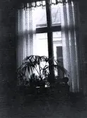 Foto av Ingrids fönster (enligt bildtext i album).