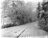 Dals Rostock. Vinterväglag på Brunnsvägen