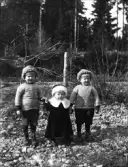 Dals Rostock. Bröderna Karl 