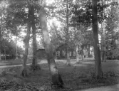 Dals Rostock. Rostocks Brunn