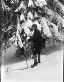 Dals Rostock. Pojke på skidor.