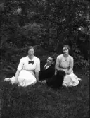 Dals Rostock. Hulda Kronstrand, Karl Haglund och okänd kvinna