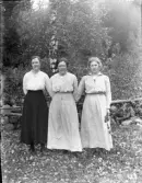 Dals Rostock. Okänd kvinna, Anna Andersson och Wendla Olsson