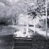 Foto av Harald Lagerholm sittandes i en barnvagn.