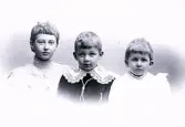 Porträtt av barnen Lagerholm fr v. Ingrid, Harald och Ellen.