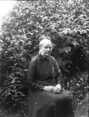 Dals Rostock. Porträtt, kvinna