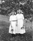 Dals Rostock. Porträtt