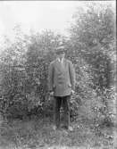 Dals Rostock. Porträtt