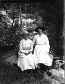 Dals Rostock. Porträtt