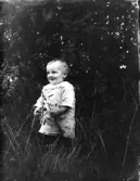 Dals Rostock. Porträtt