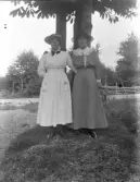 Dals Rostock. Porträtt