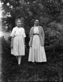 Dals Rostock. Porträtt