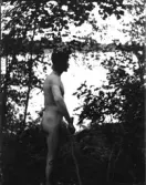 Dals Rostock. Porträtt