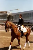 Dressyrtävling på Åbytravet i Mölndal. Fotografi taget på 1980-talet?