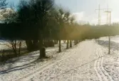 Strandpromenaden vid Stensjön i Mölndal, januari 2000.