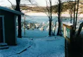 Fågelliv vid Stensjön i Mölndal, januari 2000.