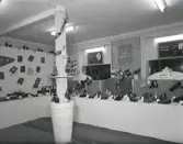 G J Gustafssons skoaffär