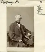 Palne De Laval (1804-1883)